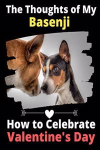 Thoughts of My Basenji
