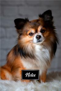 Chihuahua Dog Pup Puppy Doggie Notebook Bullet Journal Diary Composition Book Notepad - Bushy Fur