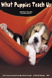 What Puppies Teach Us 2018 Wall Calendar