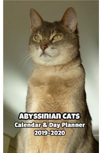 Abyssinian Cats Calendar & Day Planner 2019-2020