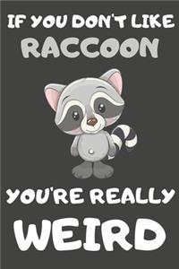 If You Don't Like Raccoon You're Really Weird