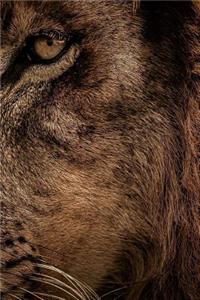 Lion Notebook