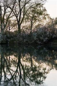 Reflection Notebook