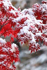 2019 Weekly Planner Japanese Maple Winter Snow 134 Pages