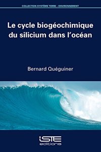 Le cycle biogéochimique du silicium dans l'océan