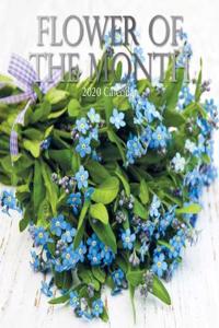 Flower of the Month
