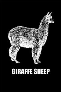 Giraffe Sheep