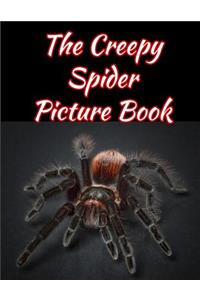 The Creepy Spider Picture Book 8.5 X 11