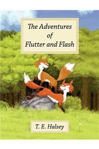 Adventures of Flutter and Flash