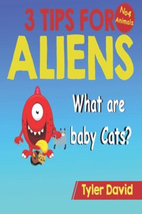What is a baby Cat?
