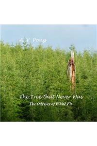 Tree That Never Was, The Odyssey of White Fir