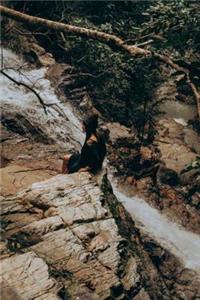 Nature Journal