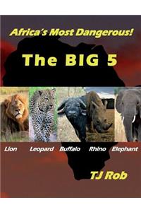 Africa's Most Dangerous - The Big 5
