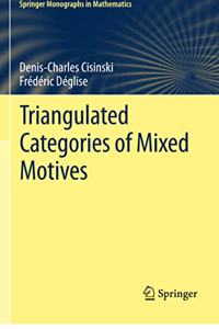 Triangulated Categories of Mixed Motives