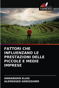 Fattori Che Influenzano Le Prestazioni Delle Piccole E Medie Imprese