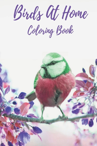 Birds at Home Coloring Book