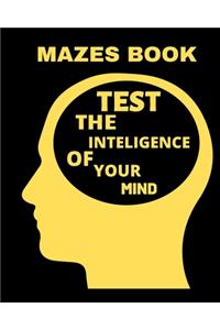 Mazes Book