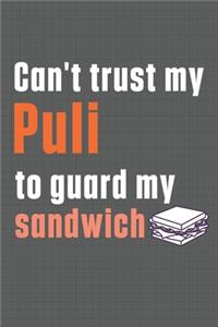 Can't trust my Puli to guard my sandwich