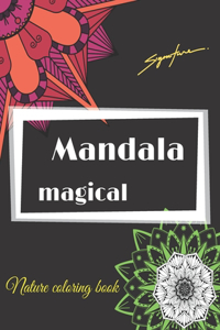 mandalas magical nature coloring book