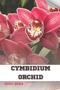 Cymbidium Orchid