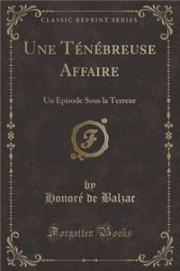 Une TÃ©nÃ©breuse Affaire: Un Ã?pisode Sous La Terreur (Classic Reprint)