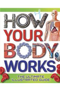 How Your Body Works: The Ultimate Illustrated Guide