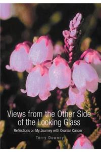 Views from the Other Side of the Looking Glass