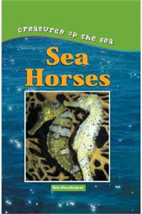 Sea Horse