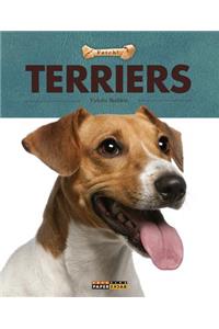 Terriers