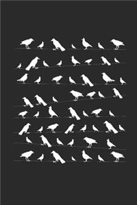 Flock Of Bird