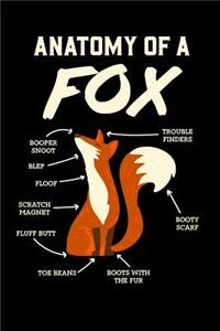 Anatomy Of A Fox