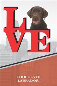 Chocolate Lab