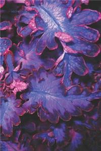 Neon Leaves