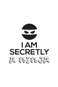 I Am Secretly A Ninja