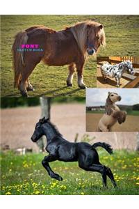 Pony Sketch Book