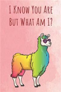 I Know You Are But What Am I?