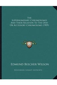 The Supernumerary Chromosomes And Their Relation To The Odd Or Accessory Chromosome (1909)