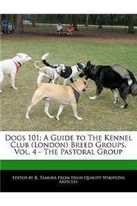 Dogs 101