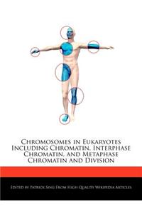 Chromosomes in Eukaryotes Including Chromatin, Interphase Chromatin, and Metaphase Chromatin and Division