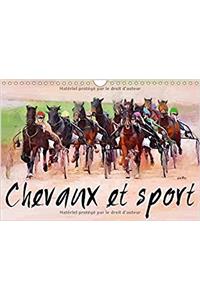 Chevaux Et Sport 2017
