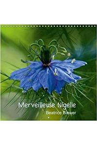 Merveilleuse Nigelle 2018