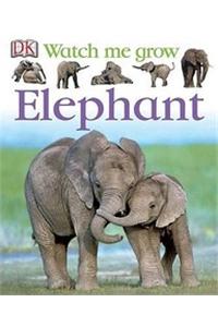 Watch Me Graw: Elephant