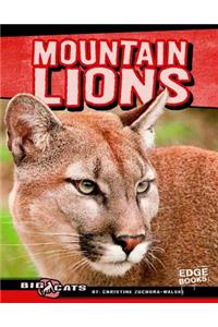 Mountain Lions