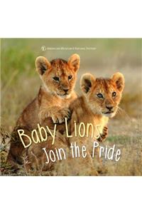 Baby Lion Joins the Pride