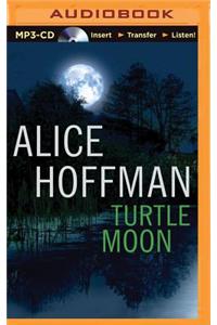 Turtle Moon