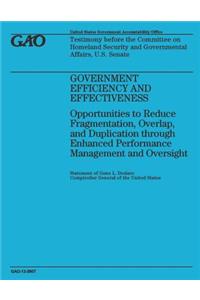 Government Efficiency and Effectiveness