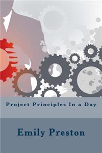 Project Principles In a Day