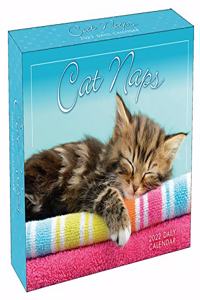 Cat Naps 2022 Boxed Daily Calendar