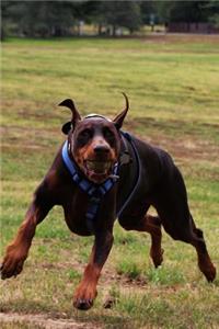 The Running Doberman Dog Journal