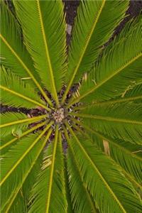 Green Leaves Journal